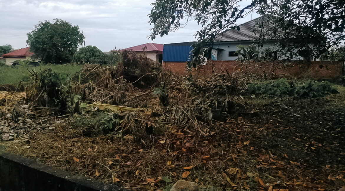 tanah-lot-kediaman-untuk-dijual-aulong-lama-taiping-07