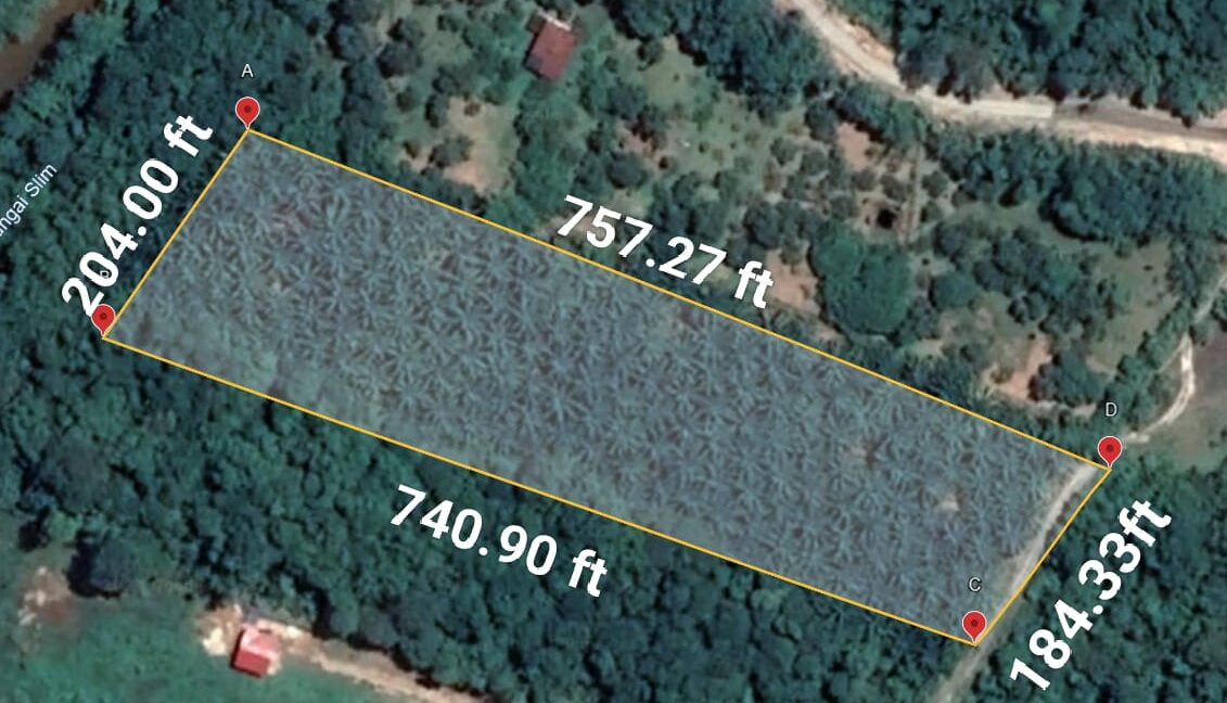tanah-pertanian-untuk-dijual-slim-river-04