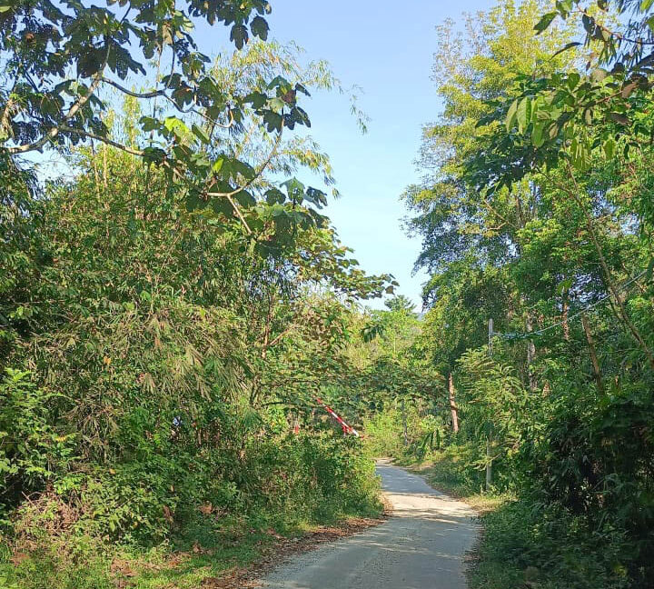 tanah-pertanian-untuk-dijual-slim-river-06