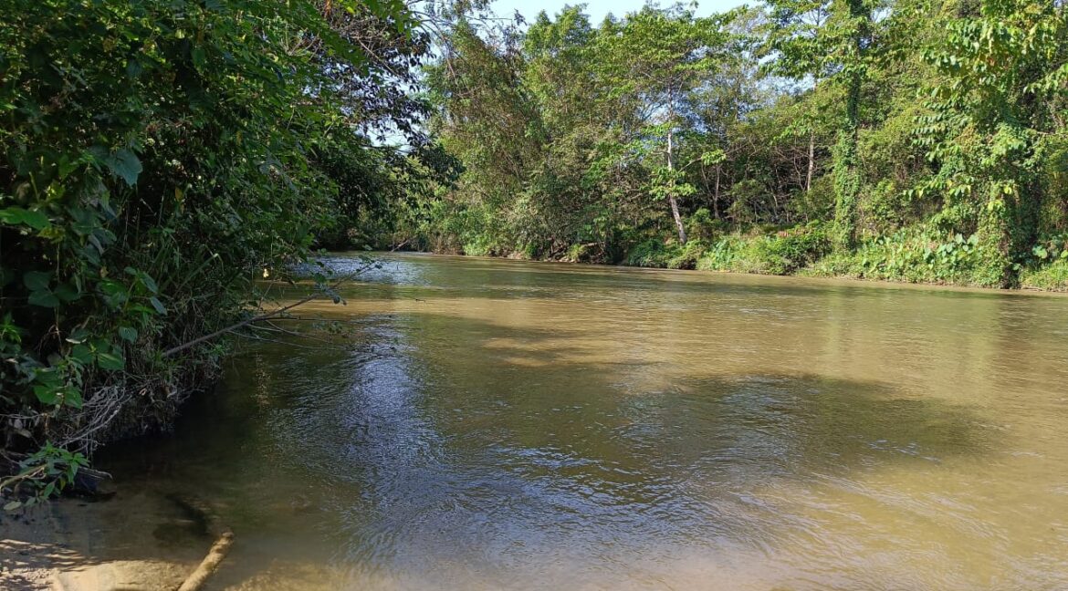 tanah-pertanian-untuk-dijual-slim-river-07