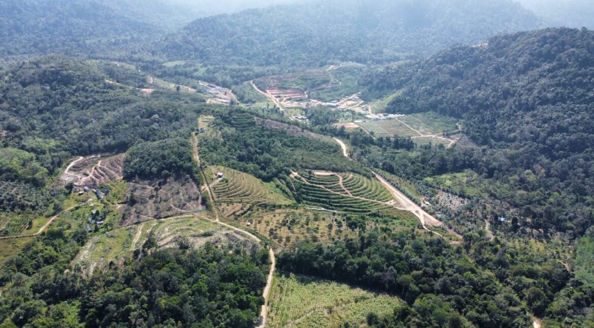 tanah-pertanian-untuk-dijual-slim-river-10