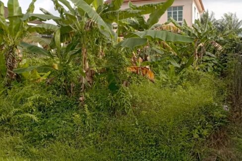 Tanah Lot Kediaman Untuk Dijual Di Kampung Murni, Taiping.