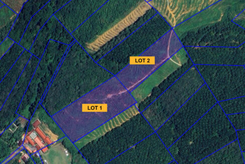 Tanah Pertanian Dijual Di Kuala Kangsar.