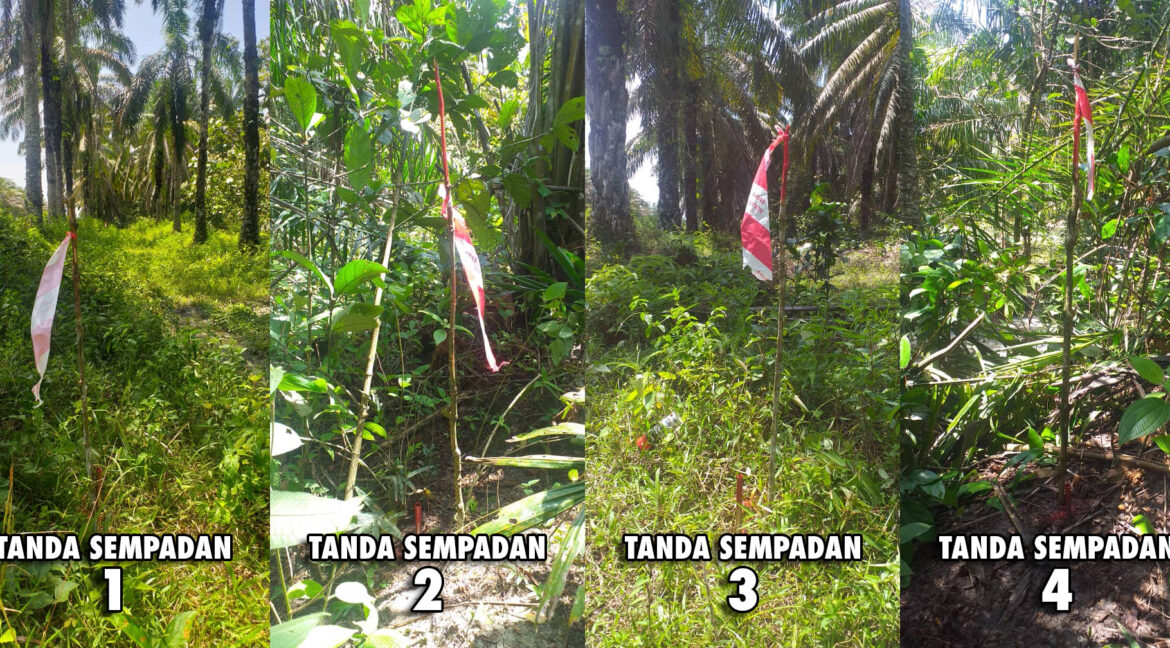 tanah-pertanian-untuk-dijual-chenderong-balai-02