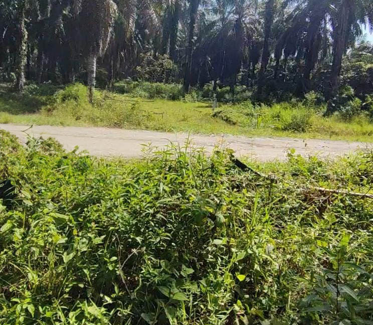 tanah-pertanian-untuk-dijual-chenderong-balai-04