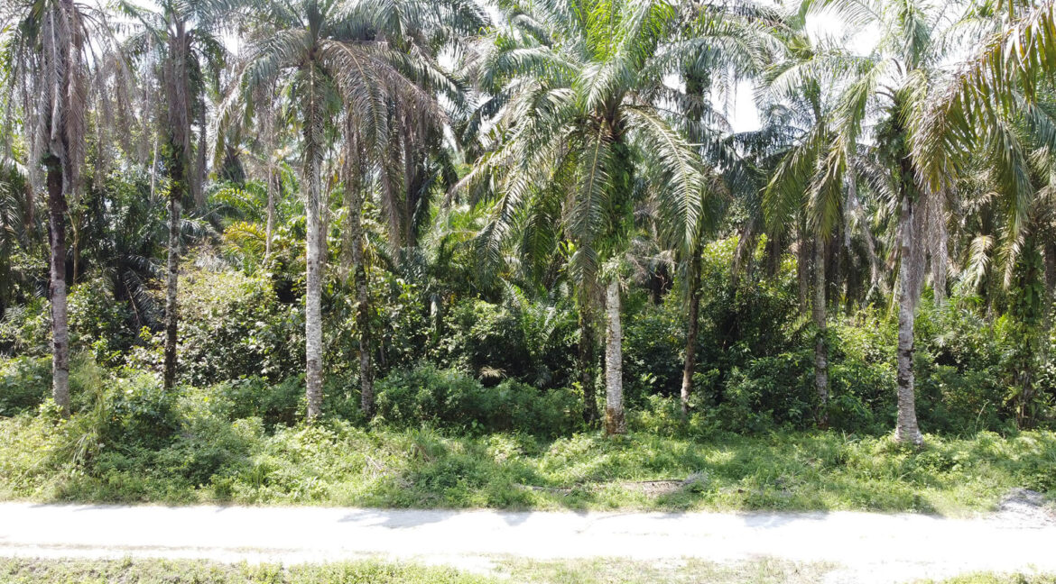 tanah-pertanian-untuk-dijual-chenderong-balai-05