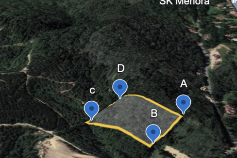 Tanah Pertanian untuk dijual di Sayong, Kuala Kangsar.