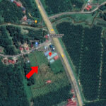 Tanah Pertanian 'Freehold' untuk dijual di Sungkai, Perak.