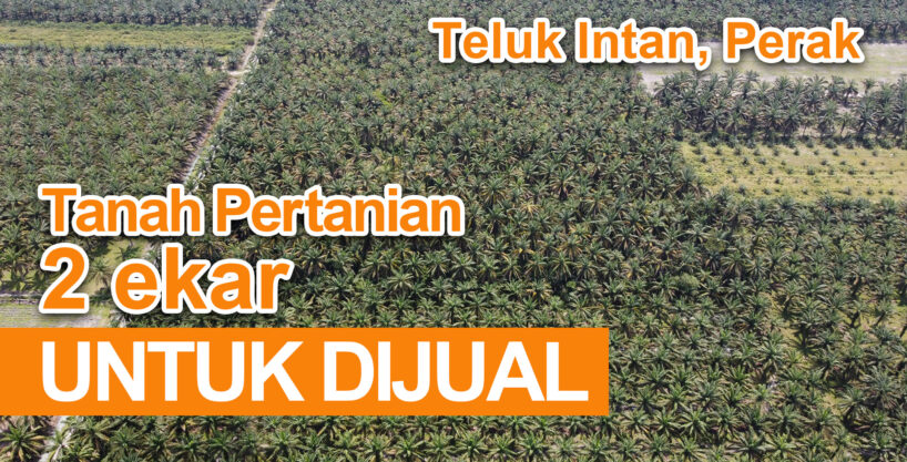 [SOLD] TANAH PERTANIAN UNTUK DIJUAL DI TELUK INTAN