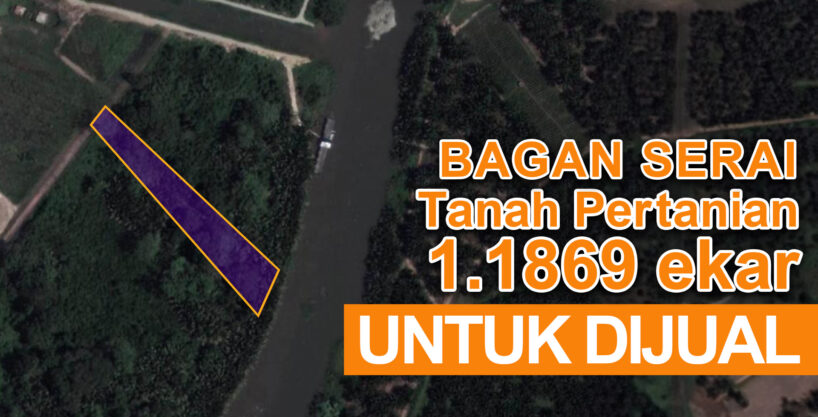 [SOLD] TANAH PERTANIAN UNTUK DIJUAL DI TANJONG SEBRANG LOW CHU SING, BAGAN SERAI