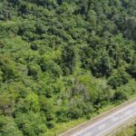 Tanah Getah Untuk Dijual Di Suak Bongsu Luat, Lenggong