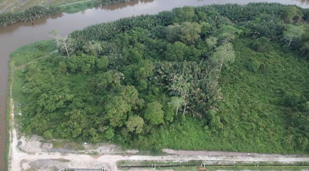 tanah-pertanian-untuk-dijual-bagan-serai-08