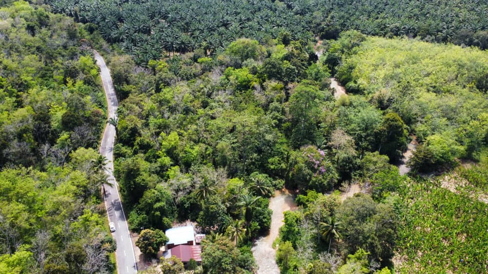 tanah-pertanian-untuk-dijual-lawin-perak-09