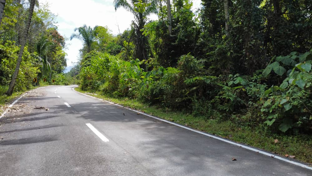 tanah-pertanian-untuk-dijual-lawin-perak-11