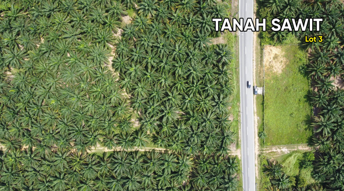 ladang-sawit-tanah-lot-felcra-nasaruddin-bota-fizahejenhartanah-03