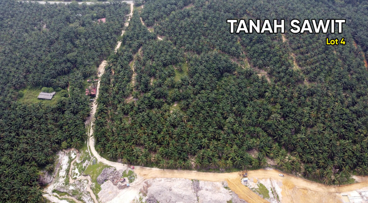 ladang-sawit-tanah-lot-felcra-nasaruddin-bota-fizahejenhartanah-04