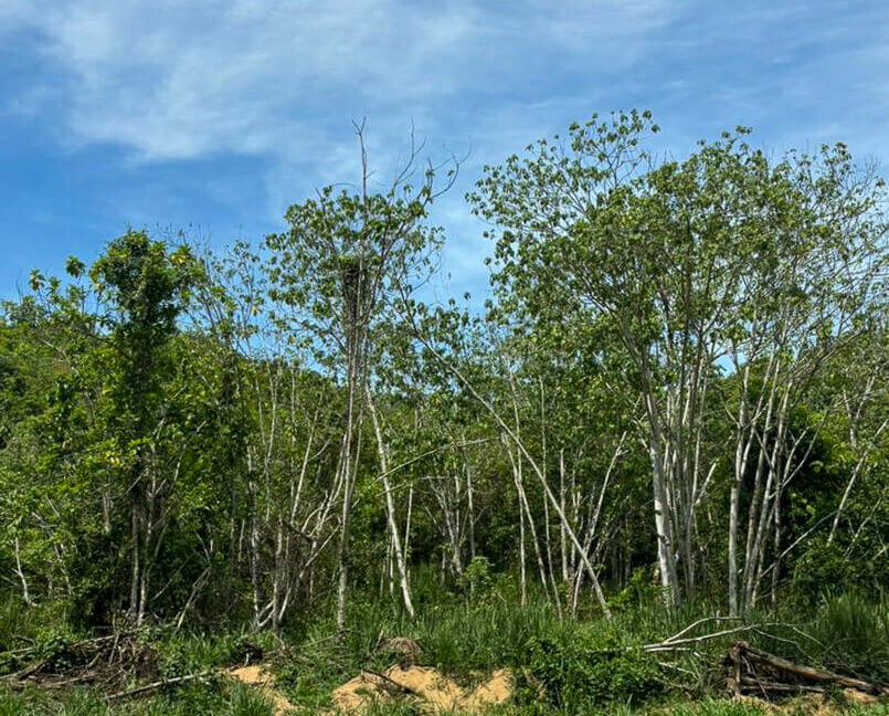 tanah-lot-rumah-untuk-dijual-di-padang-grus-lenggong-02