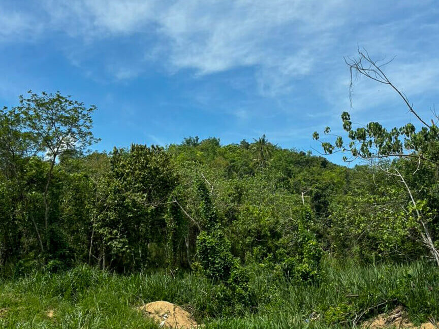 tanah-lot-rumah-untuk-dijual-di-padang-grus-lenggong-03