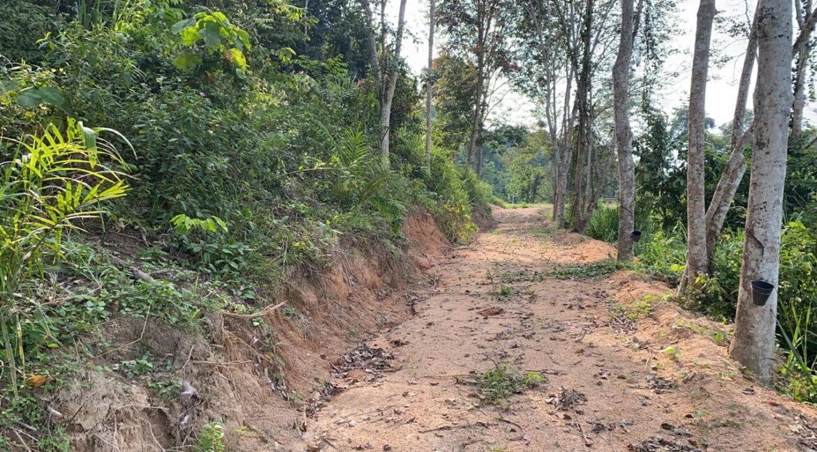 Tanah Pertanian untuk dijual di Padang Grus, Lenggong