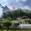 2 Lot Tanah Pertanian Untuk Dijual Di Sungai Merab, Dengkil