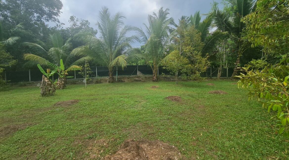 dusun-durian-dan-banglo-untuk-dijual-di-utp-seri-iskandar-12