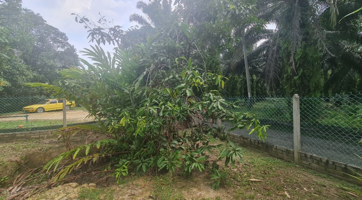 dusun-durian-dan-banglo-untuk-dijual-di-utp-seri-iskandar-13