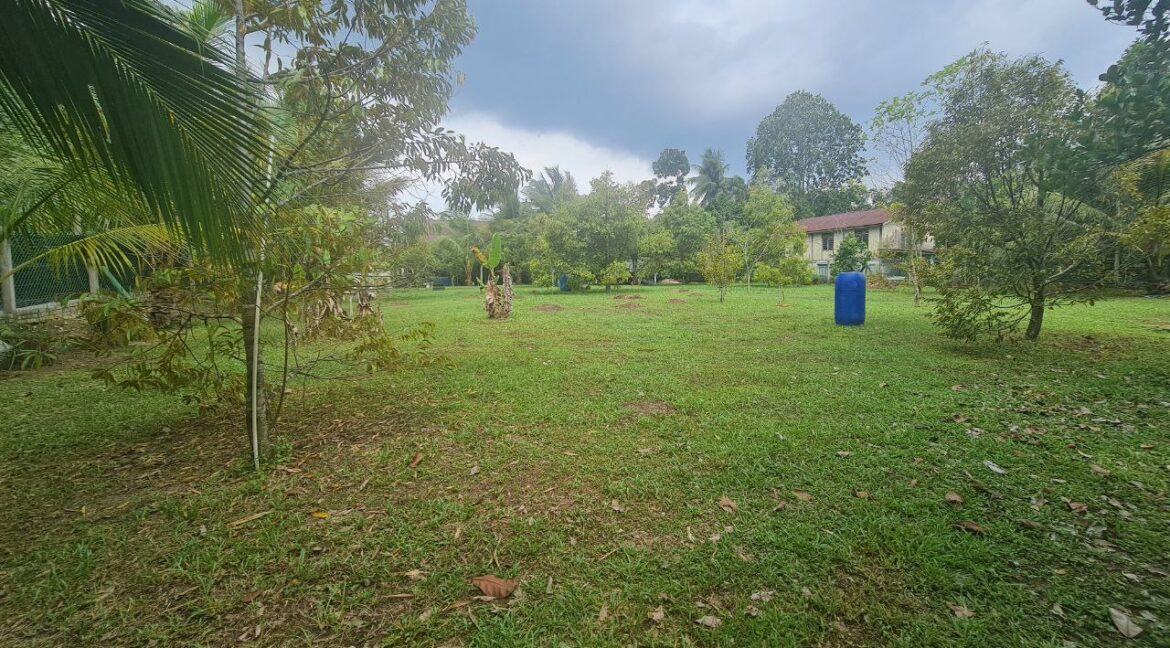 dusun-durian-dan-banglo-untuk-dijual-di-utp-seri-iskandar-15