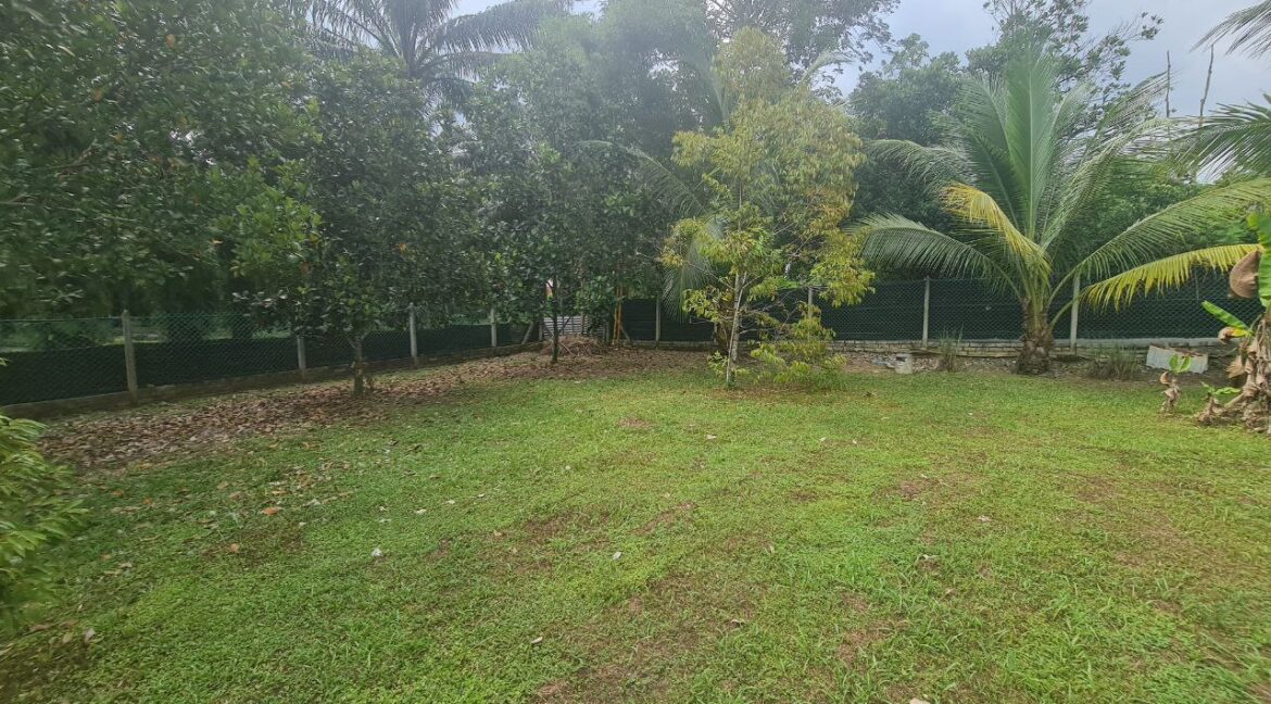dusun-durian-dan-banglo-untuk-dijual-di-utp-seri-iskandar-16