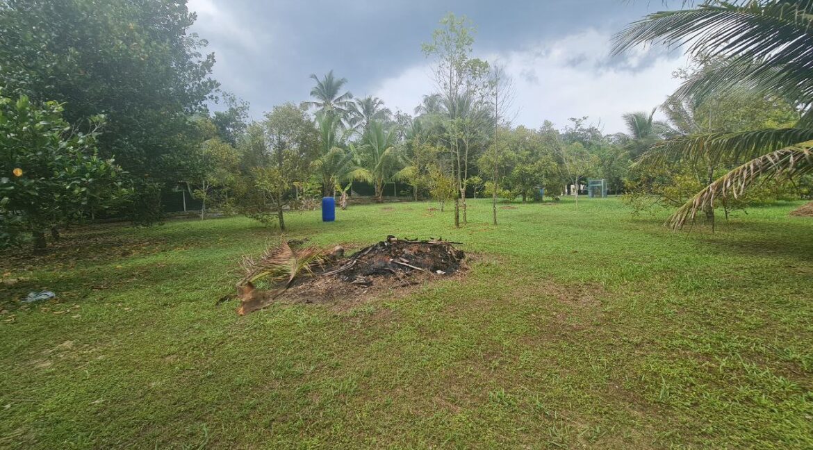 dusun-durian-dan-banglo-untuk-dijual-di-utp-seri-iskandar-17