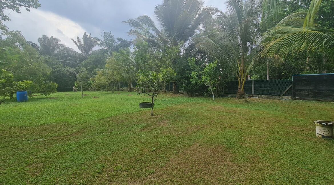 dusun-durian-dan-banglo-untuk-dijual-di-utp-seri-iskandar-20