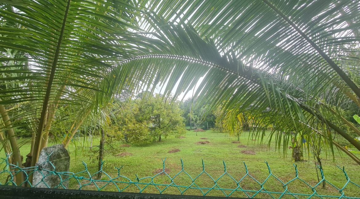 dusun-durian-dan-banglo-untuk-dijual-di-utp-seri-iskandar-22