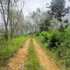 [FREEHOLD] Tanah Pertanian 3.5 Ekar untuk dijual Sungai Siput
