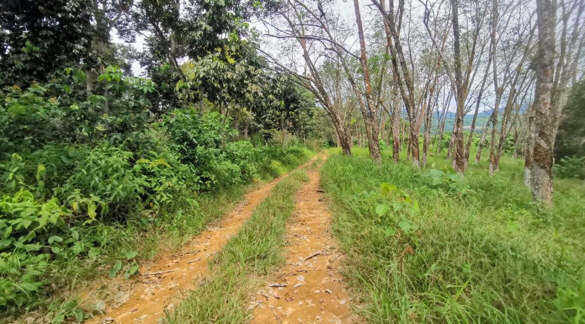 freehold-tanah-3-5-ekar-untuk-dijual-sungai-siput-04