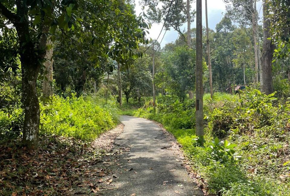 tanah-dusun-untuk-dijual-di-kampung-sahom-kampar-02