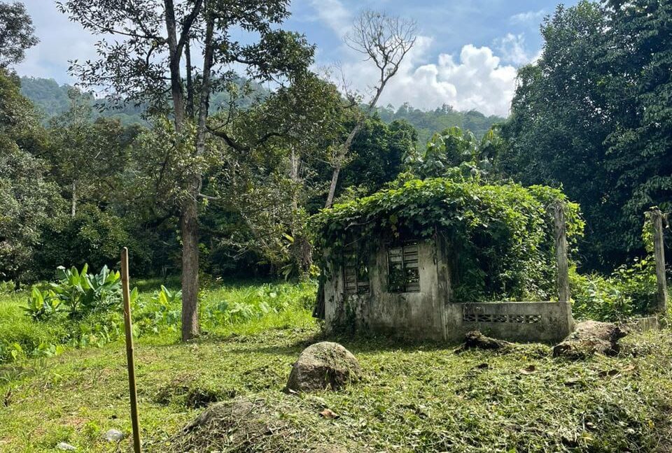 tanah-dusun-untuk-dijual-di-kampung-sahom-kampar-03