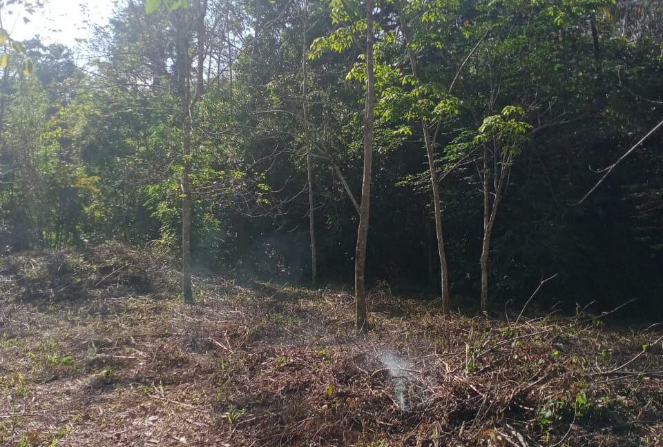 tanah-getah-untuk-dijual-di-kampung-kerunai-gerik-0