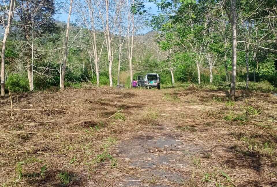 tanah-getah-untuk-dijual-di-kampung-kerunai-gerik-02