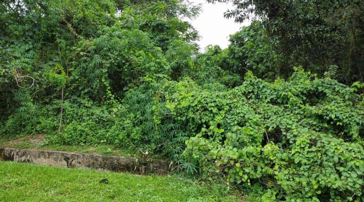 tanah-lot-banglo-untuk-di-jual-di-rpt-jelapang-tambahan-ipoh-04