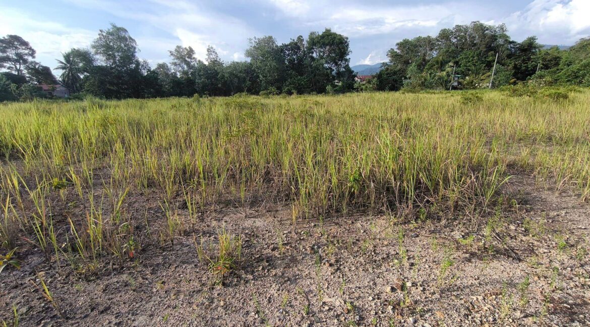 Tanah Lot Banglo Untuk Dijual Di Ulu Chemor