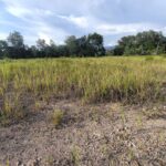 Tanah Lot Banglo Untuk Dijual Di Ulu Chemor