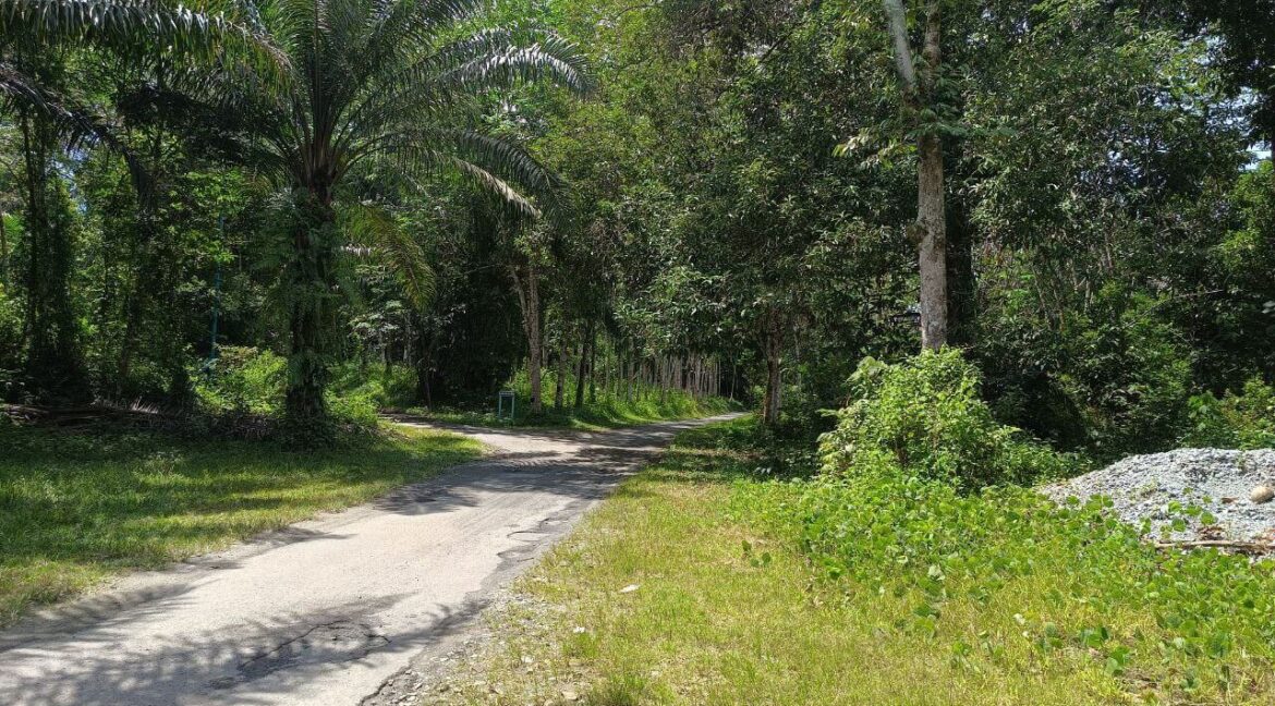 tanah-kebun-sawit-untuk-dijual-di-batu-kurau-01