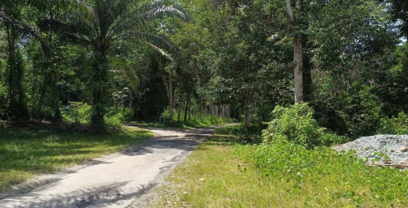 Tanah Kebun Sawit untuk dijual di Batu Kurau