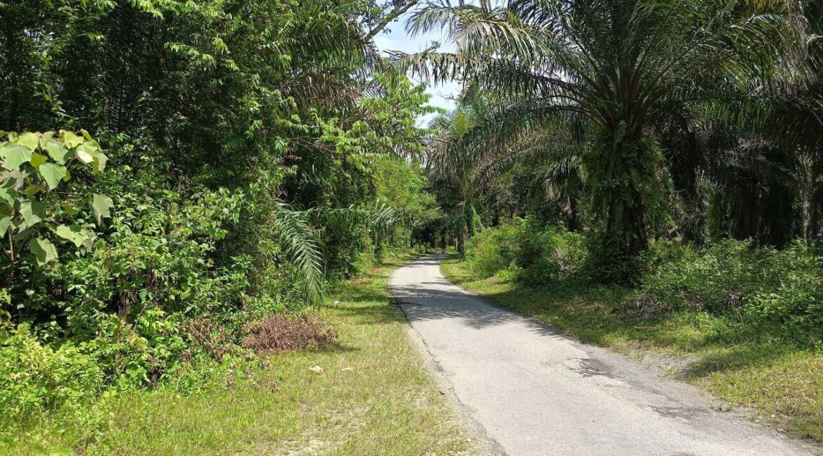 tanah-kebun-sawit-untuk-dijual-di-batu-kurau-02