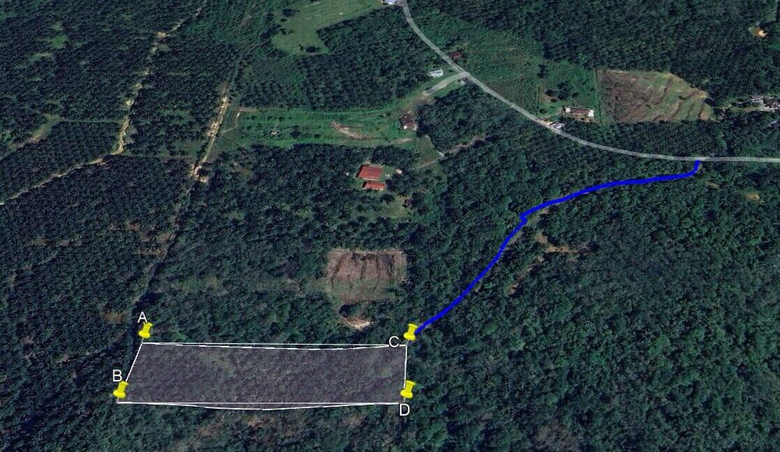 tanah-kebun-sawit-untuk-dijual-di-batu-kurau-03