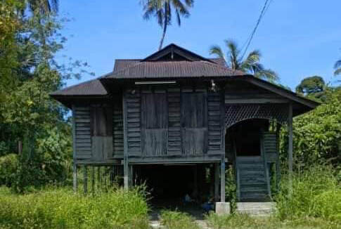 Tanah Pertanian untuk dijual di Kampung Gunung Mesah, Kampar