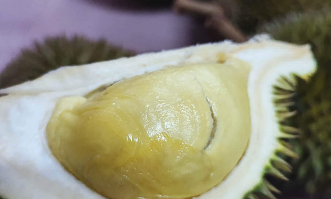 tanah-dusun-durian-tepi-jalan-besar-untuk-dijual-di-kuala-kangsar-04