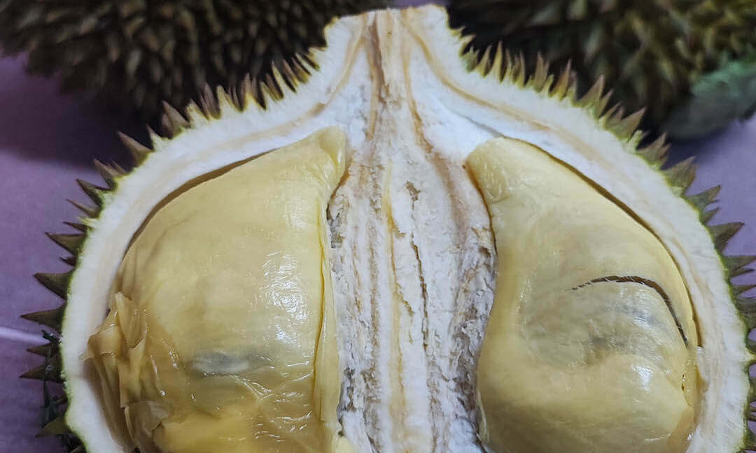 tanah-dusun-durian-tepi-jalan-besar-untuk-dijual-di-kuala-kangsar-05