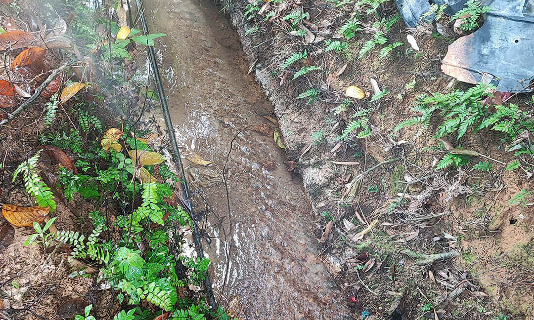 tanah-dusun-durian-tepi-jalan-besar-untuk-dijual-di-kuala-kangsar-08