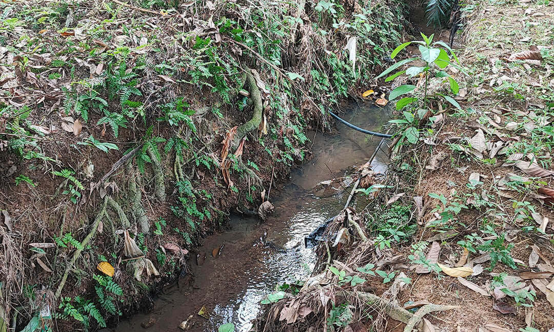 tanah-dusun-durian-tepi-jalan-besar-untuk-dijual-di-kuala-kangsar-09