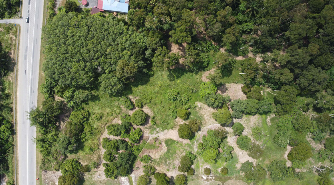 tanah-dusun-durian-tepi-jalan-besar-untuk-dijual-di-kuala-kangsar-26